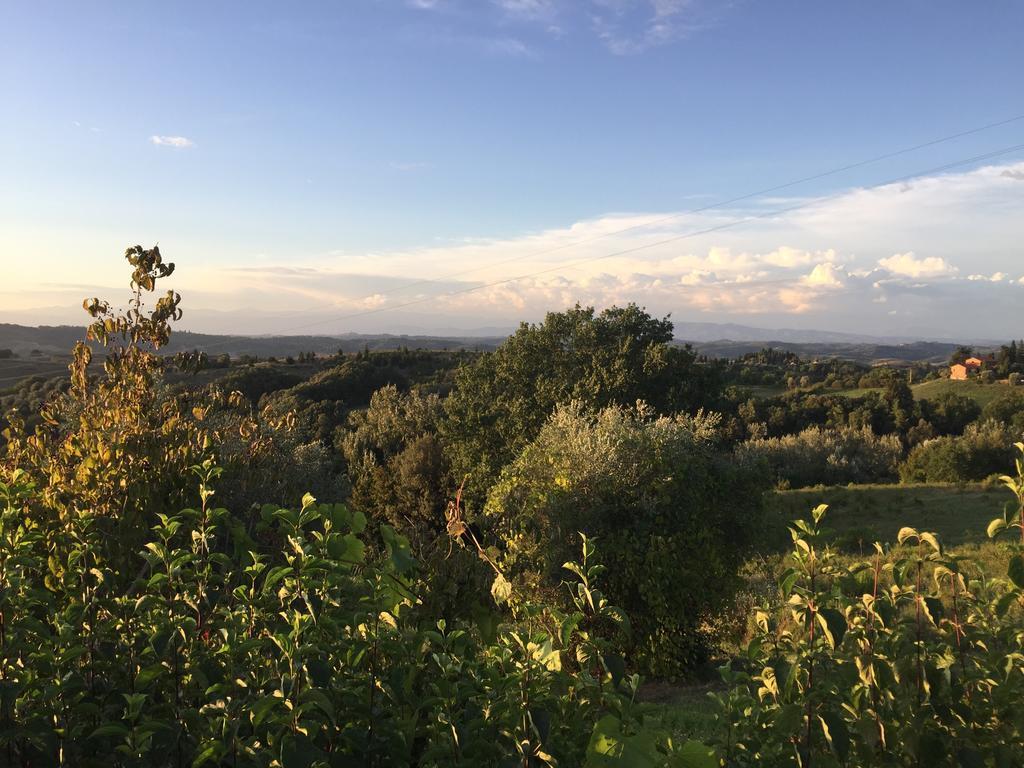 Da Tilli Alla Fornace - Agriturismo Montaione Exterior foto